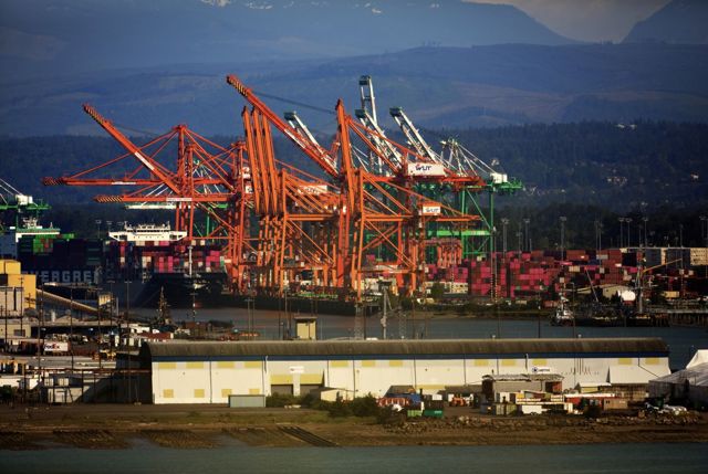 An array of colorful cargo cranes and containers in Port of Tacoma under a clear sky.